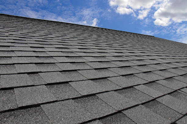 Best Roof Moss and Algae Removal  in Red Oak, NC
